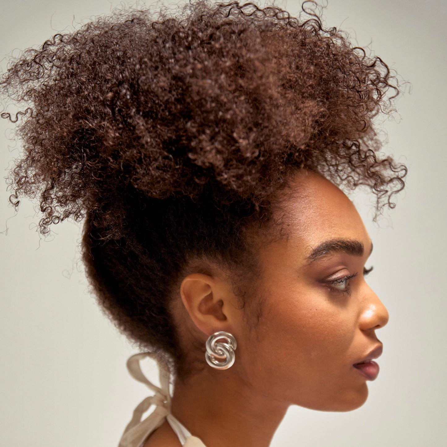 Hoop Link Earrings