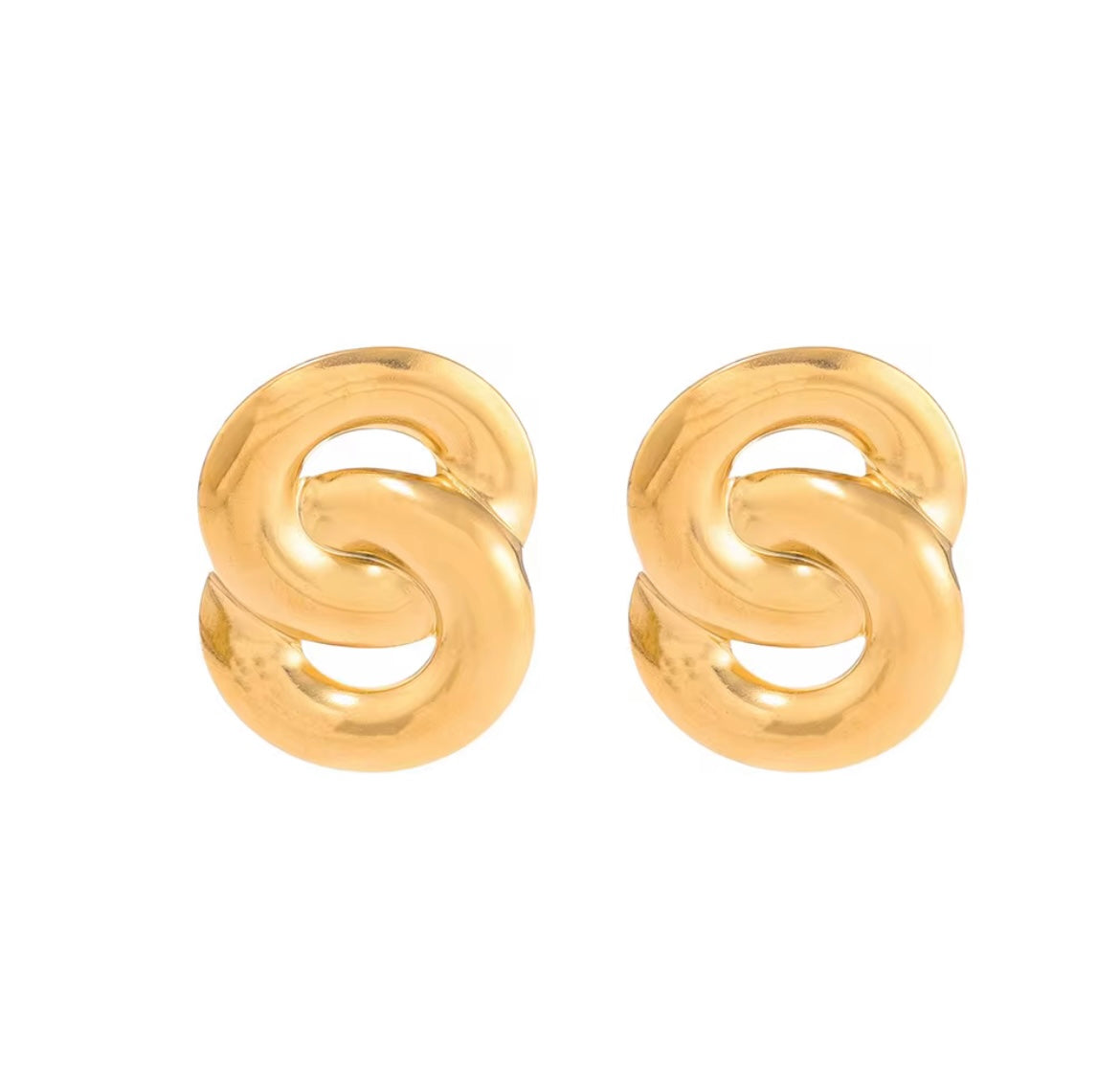 Hoop Link Earrings