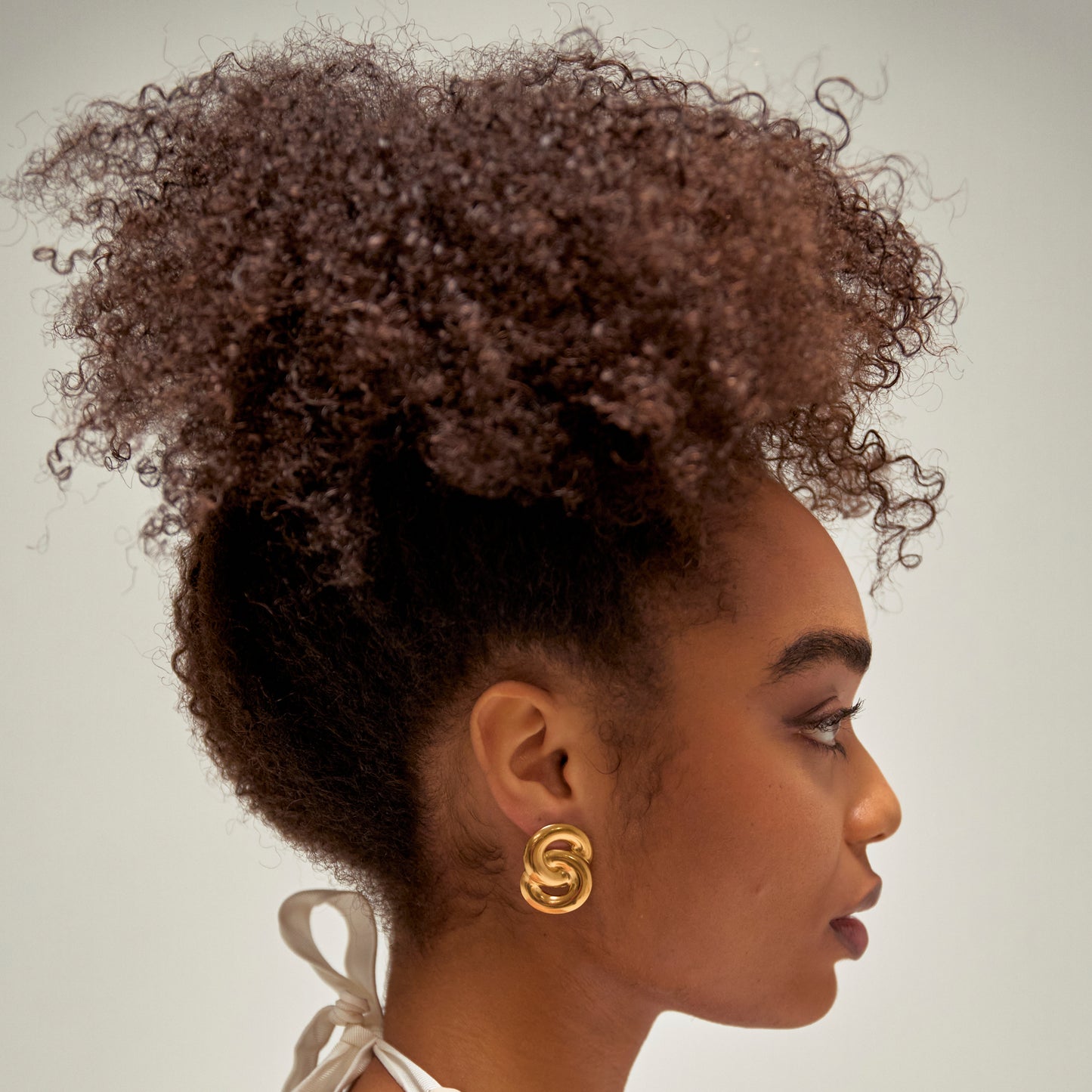 Hoop Link Earrings